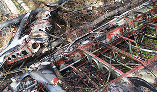 Разбившийся Ан-2 заправляли бензином Разбившийся Ан-2 заправляли бензином