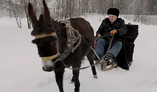 Осел Жириновского агитирует за Дегтярева Осел Жириновского агитирует за Дегтярева