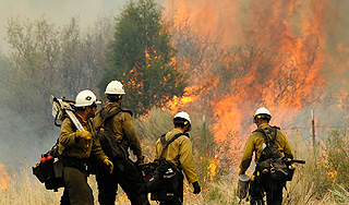 Курортная Майорка вторые сутки объята огнем Курортная Майорка вторые сутки объята огнем