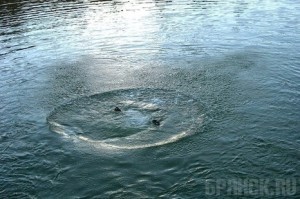 21-летний убийца пустил тело недруга «на корм рыбам»