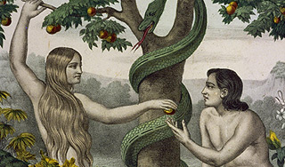 Ученые назвали возраст Адама и Евы Ученые назвали возраст Адама и Евы