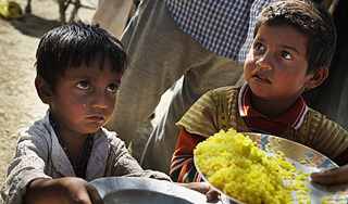 Индия накормит 800 миллионов граждан Индия накормит 800 миллионов граждан