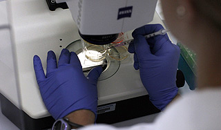 Ученые создали "вечный полимер" Ученые создали "вечный полимер"