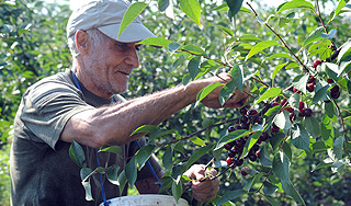 Депутаты хотят ввести налог на родителей Депутаты хотят ввести налог на родителей