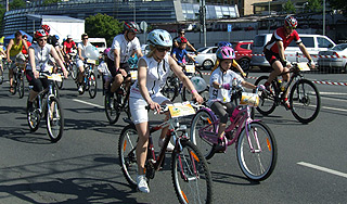 Велосипедистам ограничат скорость Велосипедистам ограничат скорость