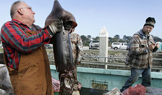 Названы самые опасные профессии в США Названы самые опасные профессии в США
