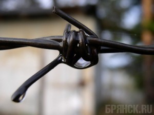 Сотрудник исправительной колонии убил заключённого