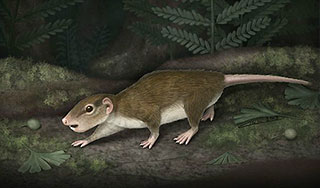 Раскрыта тайна самого успешного животного Раскрыта тайна самого успешного животного