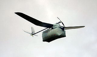 К борьбе с комарами привлекли беспилотники К борьбе с комарами привлекли беспилотники