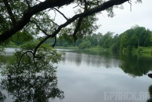 В Дятьково произошла экологическая катастрофа Пруд Парковский. Фото: foto-planeta.com