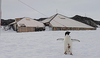 Иран создаст научную станцию в Антарктиде Иран создаст научную станцию в Антарктиде