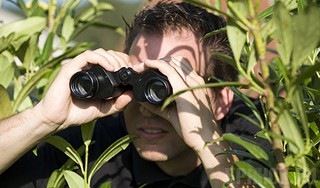 Новая Зеландия будет шпионить за людьми