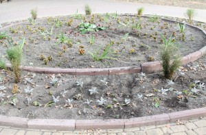 Мотоциклист разгромил центральную клумбу города Фото: Брянская городская администрация