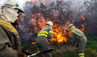 Огонь угрожает популярным курортам Огонь угрожает популярным курортам