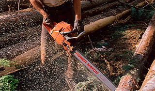 Казах с бензопилой гнался за женщиной Казах с бензопилой гнался за женщиной
