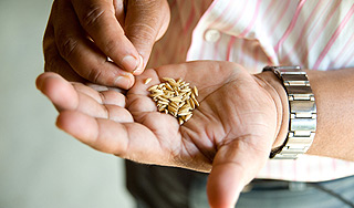 Власти Индии раздадут зерно голодающим Власти Индии раздадут зерно голодающим