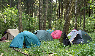 В Битцевском парке нашли убитую женщину В Битцевском парке нашли убитую женщину