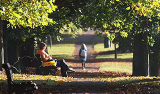 "Бабье лето" придет в конце сентября "Бабье лето" придет в конце сентября