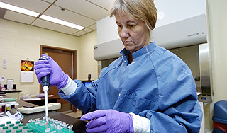 Стволовые клетки вырастили прямо в теле Стволовые клетки вырастили прямо в теле