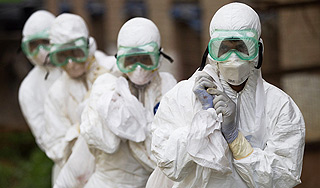 В Италии произошла вспышка птичьего гриппа В Италии произошла вспышка птичьего гриппа