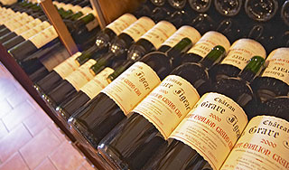 Франция может остаться без винограда Бордо Франция может остаться без винограда Бордо