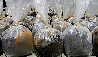 ООН нашла в Африке 22 тонны героина ООН нашла в Африке 22 тонны героина