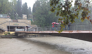 На Кубани ввели режим повышенной готовности На Кубани ввели режим повышенной готовности