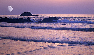 Рядом с Пакистаном появился новый остров Рядом с Пакистаном появился новый остров