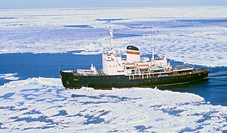 Путин назвал цели России в Арктике Путин назвал цели России в Арктике