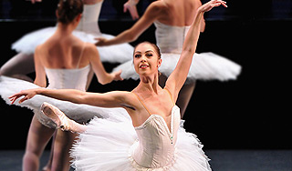 Мозг балерин признали особенным Мозг балерин признали особенным