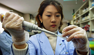 Ученые получили бензин из бактерий Ученые получили бензин из бактерий