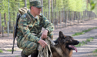 Призывники смогут служить с собаками Призывники смогут служить с собаками