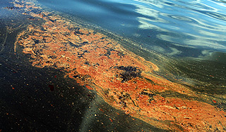 В Чудское озеро вылилось топливо В Чудское озеро вылилось топливо