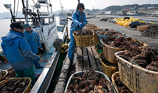 Рыбакам подарят участки на Дальнем Востоке Рыбакам подарят участки на Дальнем Востоке