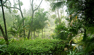 Ученые открыли 60 новых видов животных Ученые открыли 60 новых видов животных