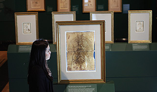 Найдена неизвестная ранее картина да Винчи Найдена неизвестная ранее картина да Винчи