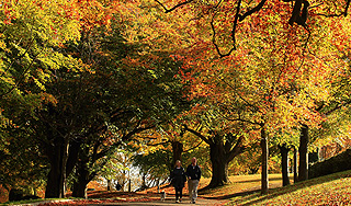 Тепло придет в Москву в середине недели Тепло придет в Москву в середине недели