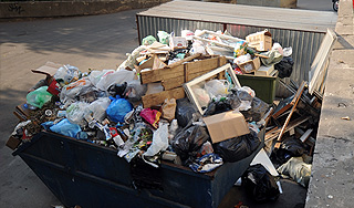 Под Москвой в мусоре нашли тела 5 младенцев Под Москвой в мусоре нашли тела 5 младенцев