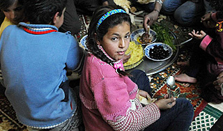 Сирийцам разрешили есть кошек и ослов Сирийцам разрешили есть кошек и ослов