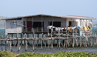 Новую Гвинею сотрясли подземные толчки Новую Гвинею сотрясли подземные толчки