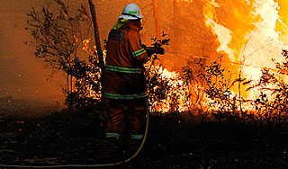Пожары уничтожают окрестности Сиднея Пожары уничтожают окрестности Сиднея
