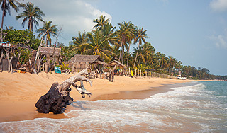 В Таиланде погибли двое туристов из России В Таиланде погибли двое туристов из России