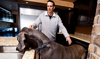 В США умер самый большой в мире пес В США умер самый большой в мире пес