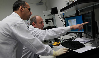 Ученые объяснили пользу аллергии Ученые объяснили пользу аллергии