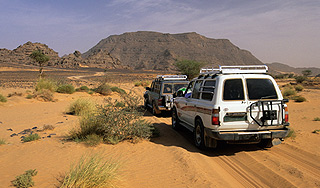 В Сахаре десятки мигрантов умерли от жажды В Сахаре десятки мигрантов умерли от жажды