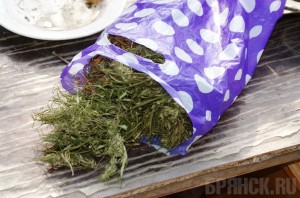 Сбор урожая конопли закончился судом