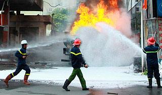 ���������� ������ ���� �� ��������