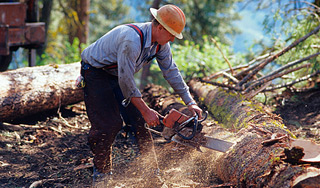 ���� ��������� ����� ��� �������