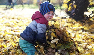 � ������ ����������� �������� ������ ������