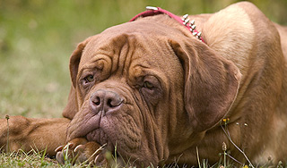 ���������� ��� �������� ������� � ��������